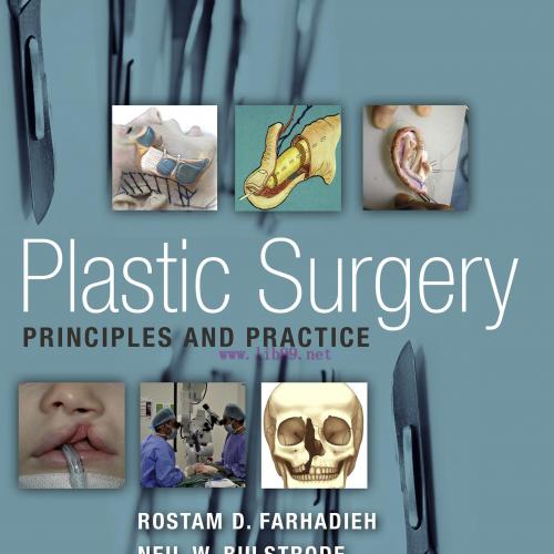 [AME]Plastic Surgery - Principles and Practice (EPUB)