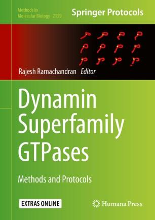 Dynamin Superfamily GTPases