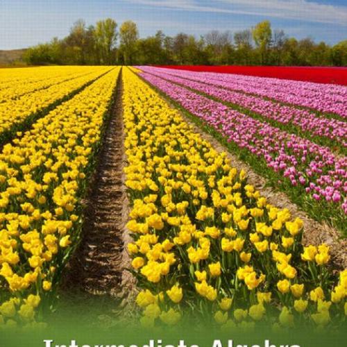 Intermediate algebra _ graphs and models 4th - Marvin L Bittinger