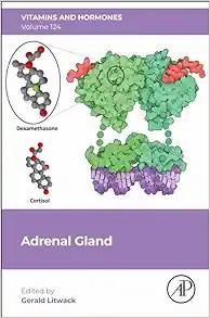 [AME]Adrenal Gland (Volume 124) (Vitamins and Hormones, Volume 124) (EPUB)