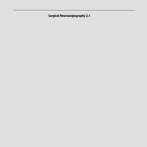 Surgical Neuroangiography 2nd Edition by Alejandro Berenstei