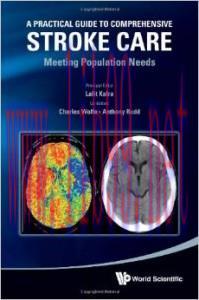 [AME]A Practical Guide to Comprehensive Stroke Care: Meeting Population Needs (Original PDF)
