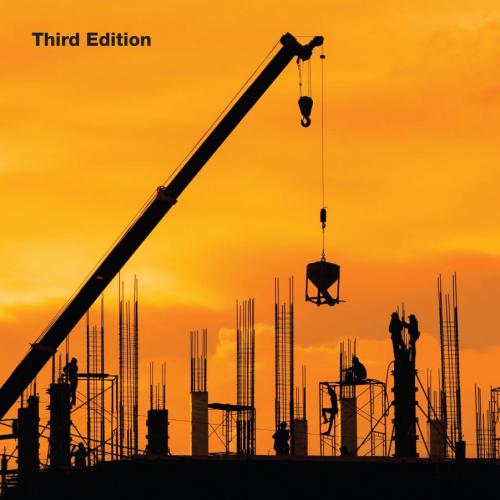 Project Finance in Theory and Practice_ Designing, Structuring, and Financing Private and Publi...