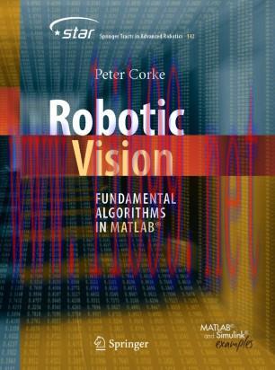 Robotic Vision