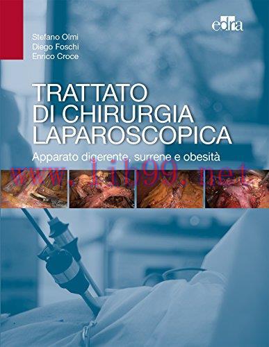 [AME]Trattato di chirurgia laparoscopica. Apparato digerente, surrene e obesità (EPUB)