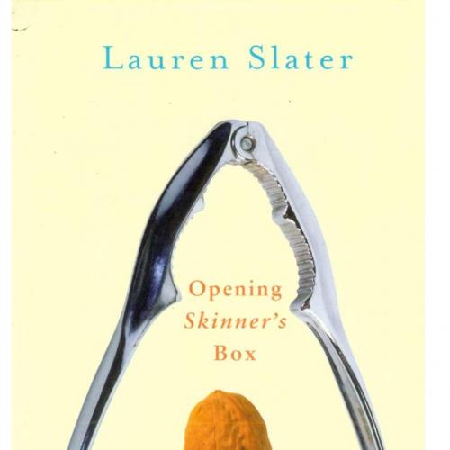 Opening Skinner's Box Great Psychological Experiments of the Twentieth Century