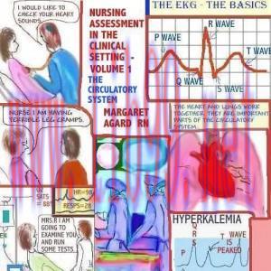 [AME]Nursing Assessment in the Clinical Setting – Volume 1 – The Circulatory System (EPUB)
