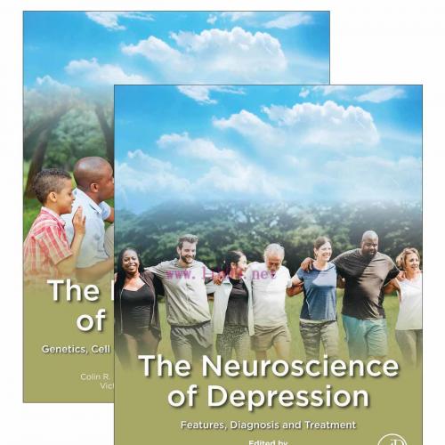 [AME]The Neuroscience of Depression (EPUB)