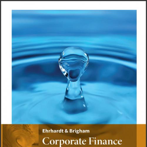 (Test Bank)Corporate Finance A Focused Approach 6th Edition