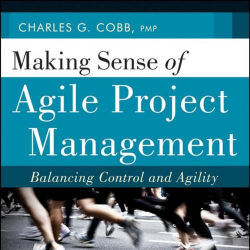 Making Sense of Agile Project Management_ Balancing Control and Agility - Wei Zhi