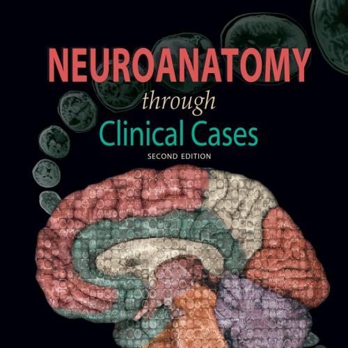 Neuroanatomy through Clinical Cases, 2nd Edition