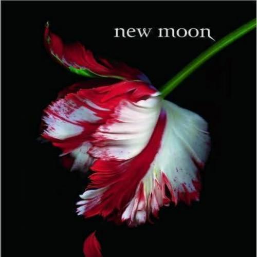 Twilight 2 - New Moon - Meyer, Stephenie