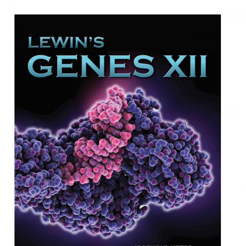 Lewin's GENES XII-Krebs, Jocelyn E.; Goldstein, Elliott S.; Kilpatrick, Stephen T.-