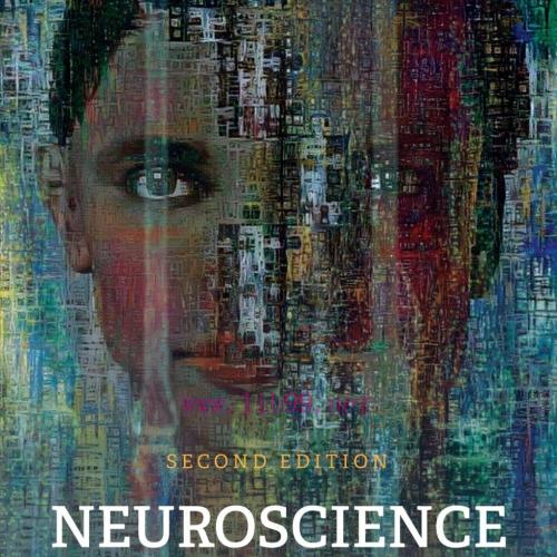 [AME]Neuroscience for Counselors and Therapists, 2nd Edition (High Quality Image PDF)