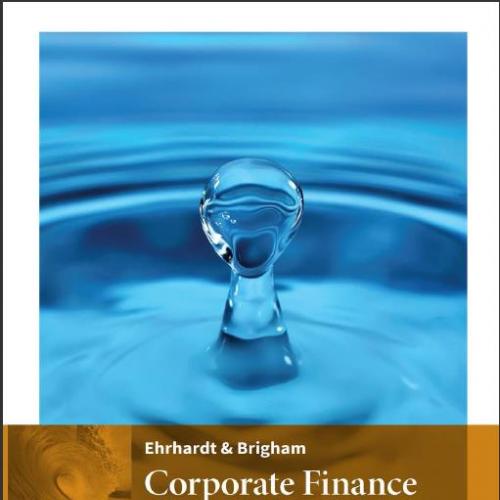 (Solution Manual)Corporate Finance A Focused Approach 6th Edition by Ehrhardt.zip