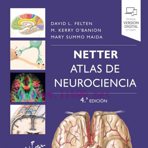 [AME]Netter. Atlas de neurociencia, 4 Edición (Original PDF)