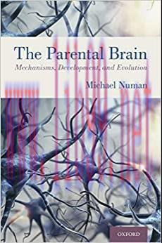 (PDF)The Parental Brain: Mechanisms, Development, and Evolution