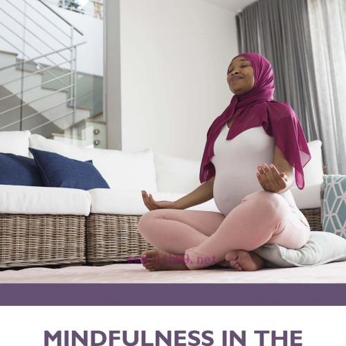 [AME]Mindfulness in the Birth Sphere (EPUB)