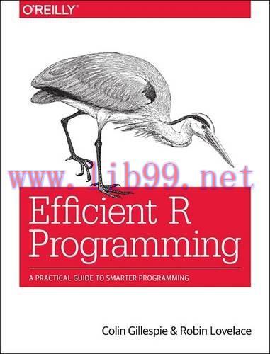 [FOX-Ebook]Efficient R Programming: A Practical Guide to Smarter Programming