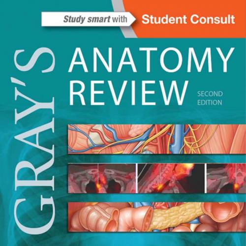 Grays Anatomy Review 2nd Edition
