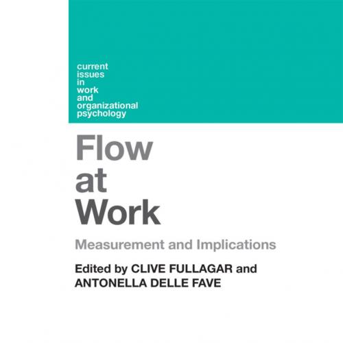 Flow at Work Measurement and Implications 1848722788