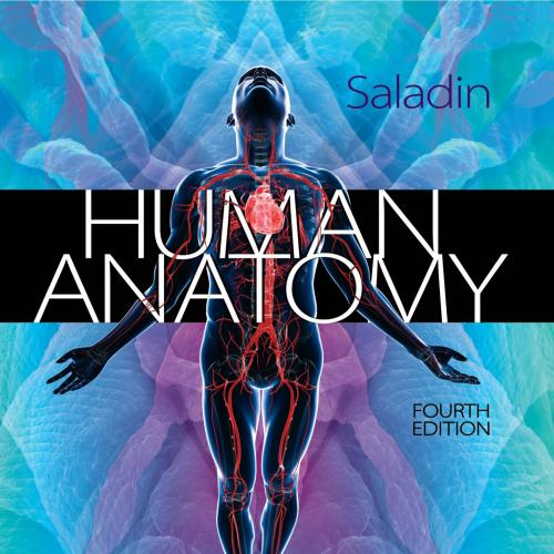 Human Anatomy, 4 edition