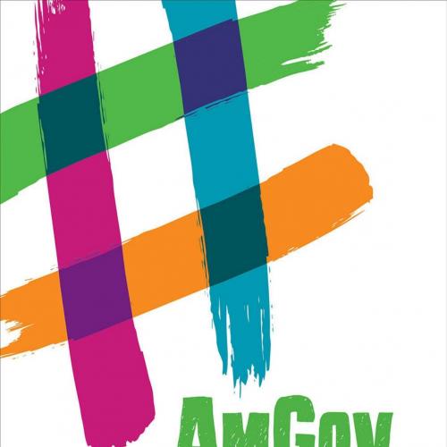 AmGov Long Story Short - Christine Barbour