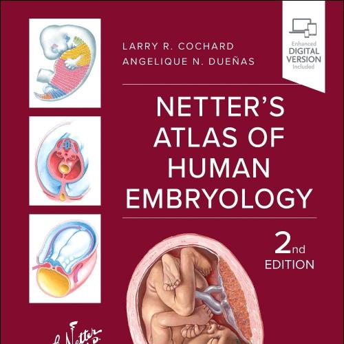Netter’s Atlas Of Human Embryology, 2nd Edition (Original PDF)