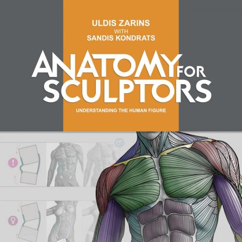 Anatomy for Sculptors, Understanding the Human Figure - Wei Zhi