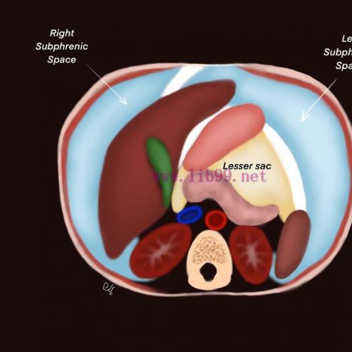[AME]MRIOnline Imaging Mastery Series: Peritoneum and Mesentery 2021 (CME VIDEOS)