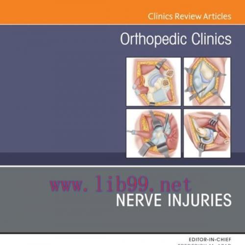 [AME]Nerve Injuries, An Issue of Orthopedic Clinics, E-Book (The Clinics: Internal Medicine) (O...