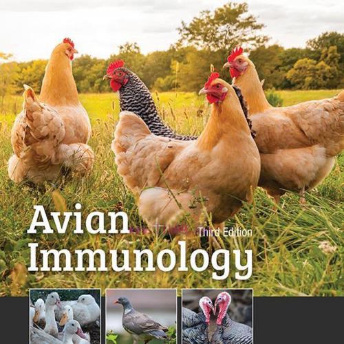 [AME]Avian Immunology, 3rd Edition (Original PDF)