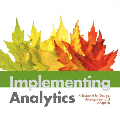Ilementing Analytics A Blueprint Design Development and Adoption