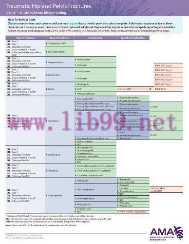 [AME]ERC-ICD-10 Chronic Disease 2019 – Hip and Pelvic Fractures/Arthritis/osteoporosis (EPUB)