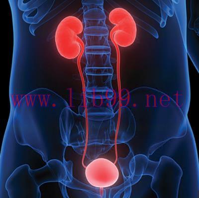 [AME]Comprehensive Review of Urology 2021 (CME VIDEOS)