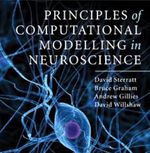 Principles of Computational Modelling in Neuroscience
