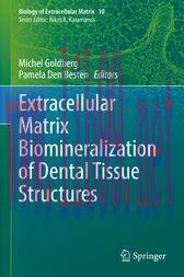 [AME]Extracellular Matrix Biomineralization of Dental Tissue Structures (Original PDF)