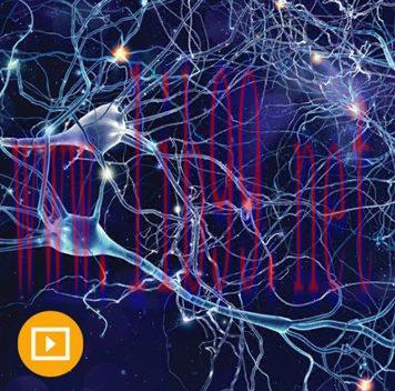 [AME]Neurology for Non-Neurologists 2022 (CME VIDEOS)