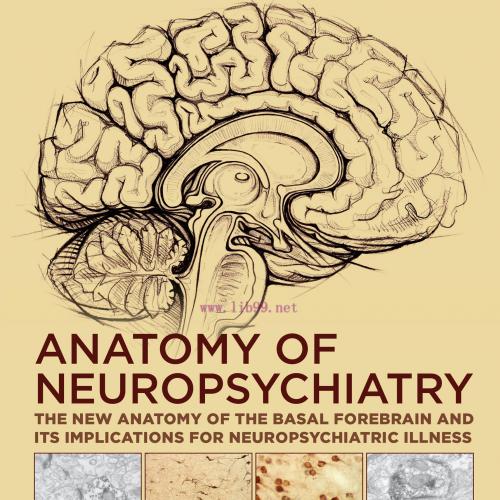 [AME]Anatomy of Neuropsychiatry: The New Anatomy of the Basal Forebrain and Its Implications fo...