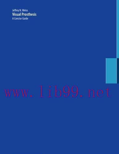 [AME]Visual Prosthesis: A Concise Guide (EPUB)