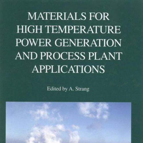 Materials for High Temperature Power Generation and Process Plant Applications
