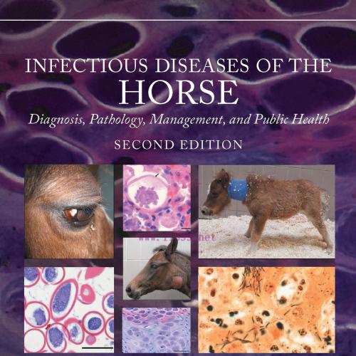 [AME]Infectious Diseases of the Horse, 2nd Edition (Original PDF)