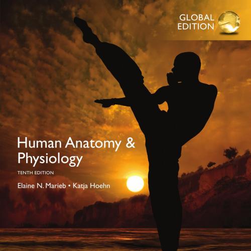 Human Anatomy & Physiology, Global 10th Edition by Elaine N. Marieb