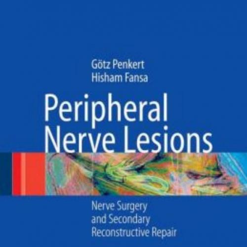 Peripheral Nerve Lesions-Nerve Surgery and Secondary Reconstructive Repair-Wei Zhi