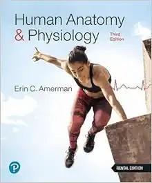 [AME]Human Sexuality - Roger R. Hock, 5th Edition (Original PDF)
