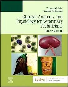 [AME]Wound Care: A Practical Guide for Maintaining Skin Integrity, 2nd Edition (True PDF From_ ...