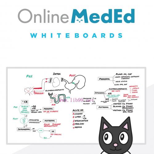 [AME]OnlineMedEd WhiteBoard Snapshot for Clinical Science “USMLE STEP 2” 2021 (PDF)