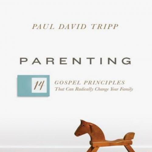 Parenting 14 Gospel Principles That Can Radically Change Your Family - Tripp, Paul David - Trip...