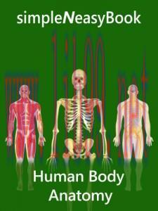 [AME]Human Body Anatomy - simpleNeasyBook (EPUB)