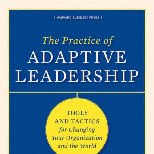 Practice of Adaptive Leadership by Ronald A. Heifetz, The